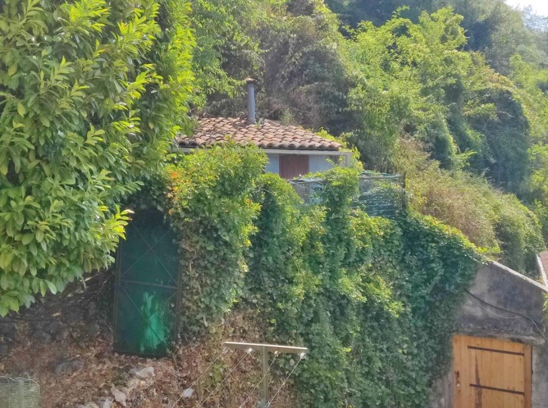 Hebergements Entiers Two Homes T1 Bas Or T1 Haut -Aux Terrasses Du Pech Foix Esterno foto
