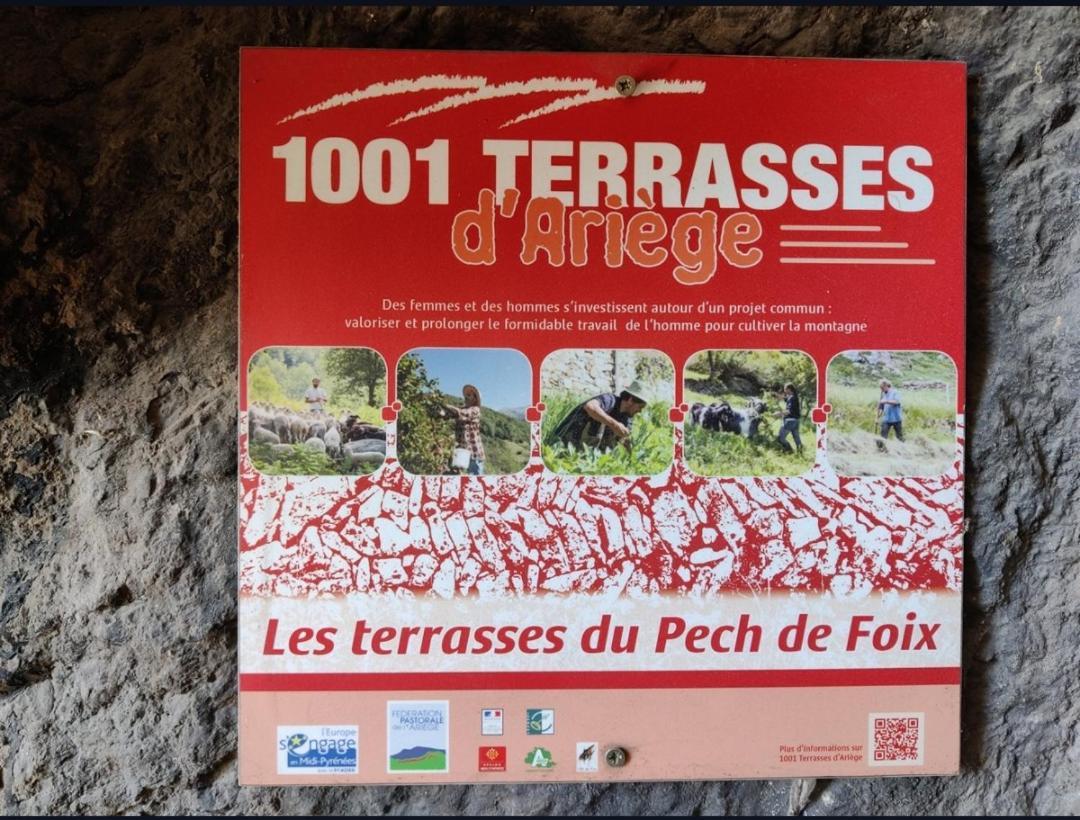 Hebergements Entiers Two Homes T1 Bas Or T1 Haut -Aux Terrasses Du Pech Foix Esterno foto